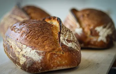 Wytwórnia Chleba Rzemieślniczego